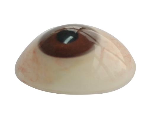 兴安盟微雕义眼定制